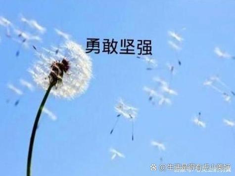 大人物都经历过磨难吗图标