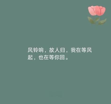 南风过境谢飞飞