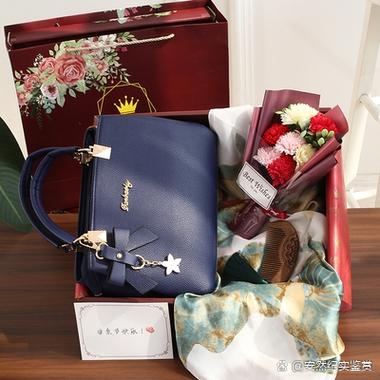 送人包包对谁不好图标