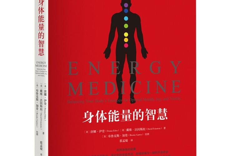 身体能量的智慧pdf