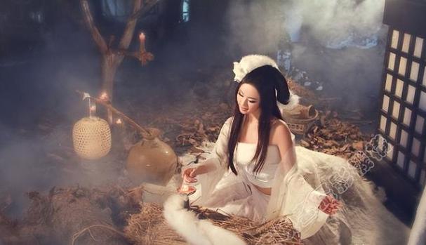 白狐电视剧全集免费观看
