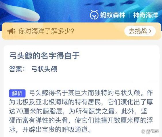 蚂蚁蚂蚁森林今天的正确答案是什么图标