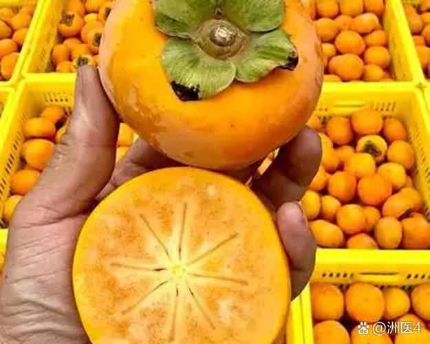 有柿是什么平台?