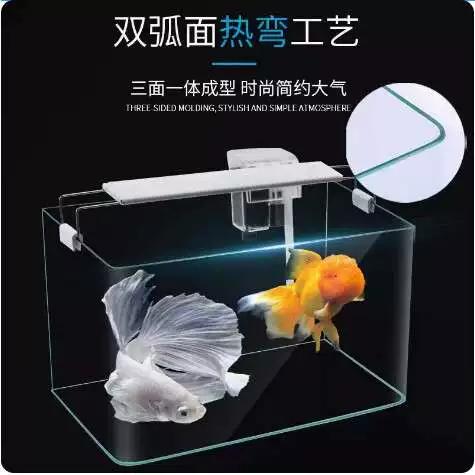 热弯缸好还是超白缸好