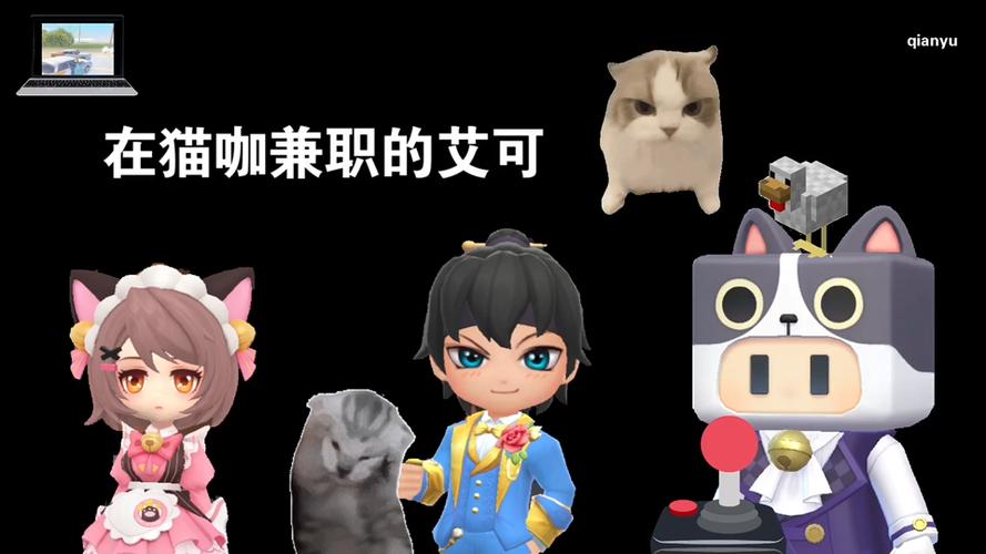 猫咖兼职