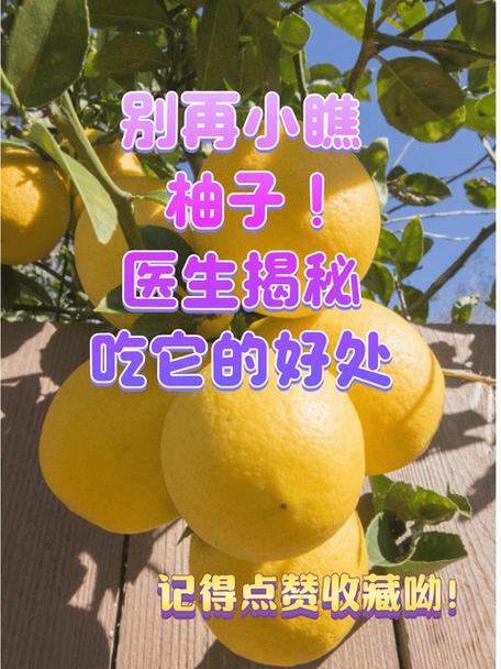 柚子对身体的好处