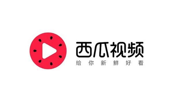 赚钱西瓜视频极速版