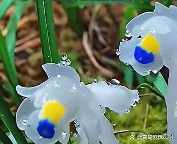 玉软花又柔小说全文免费阅读
