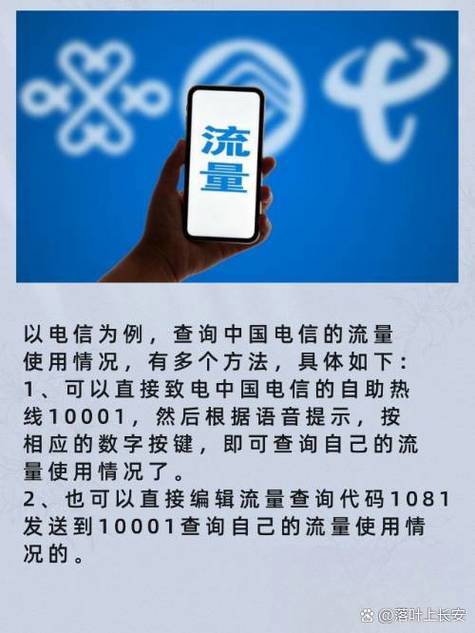 如何查流量使用情况明细