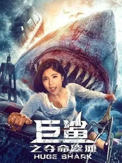 鲨鱼硬弟女主角叫什么名字