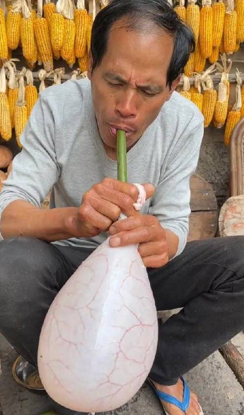 老杨美食视频全部免费观看