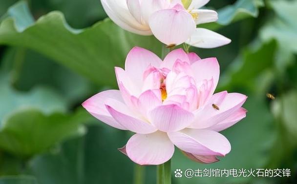 关联qq对方消息不提醒