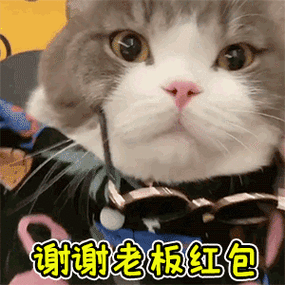 萌宠红包群