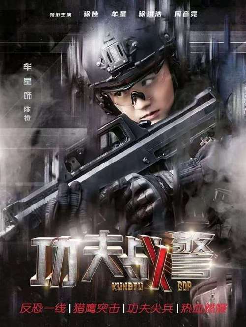 2020功夫战警电视剧在线观看