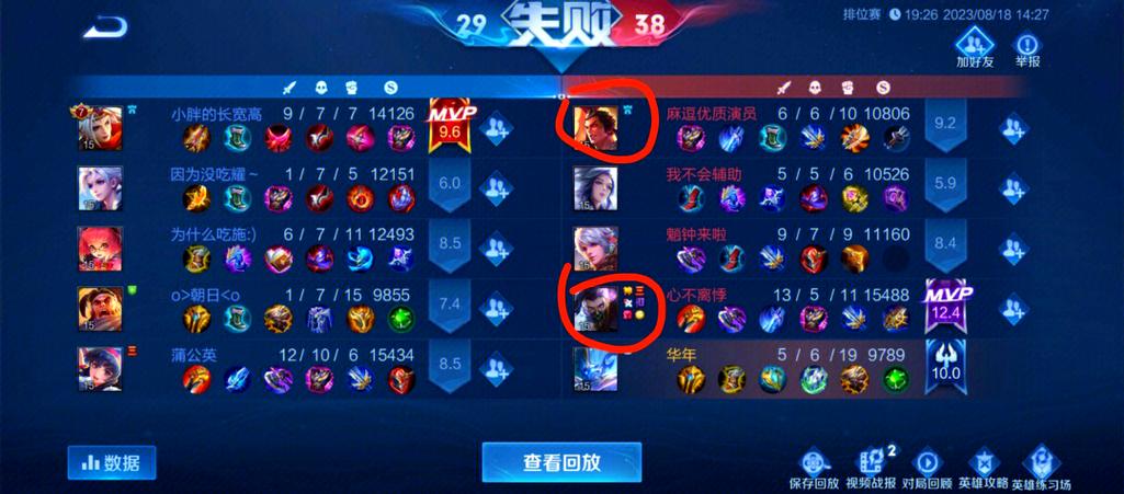 王者荣耀队友分经济图标