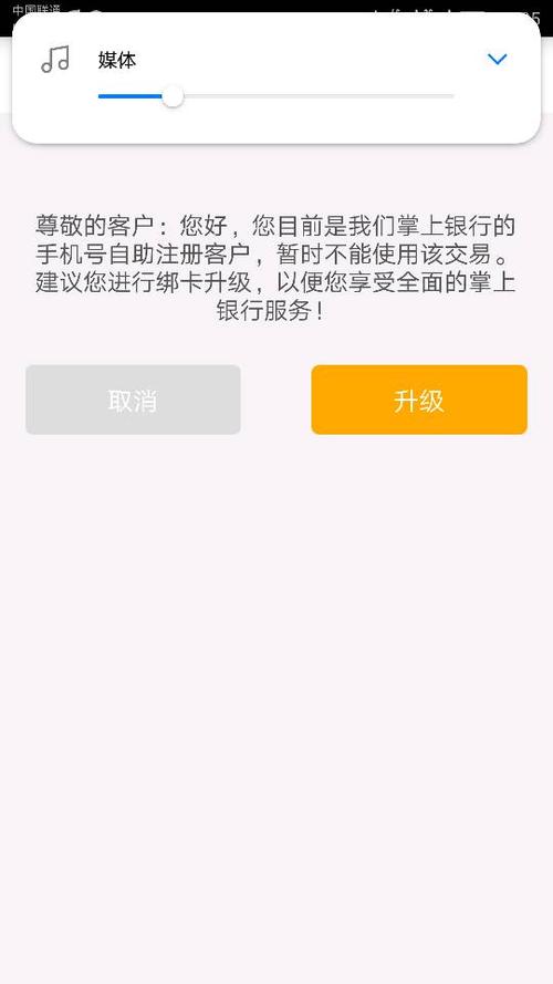 农行掌上银行更新后打不开图标