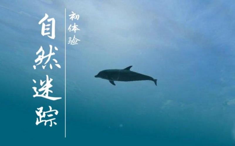 校草被宿管催眠洗脑篡改记忆的小说
