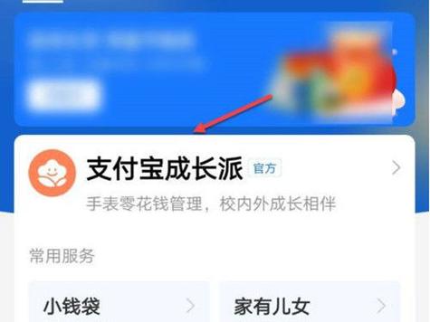 支付宝账户安全险怎么收费标准图标