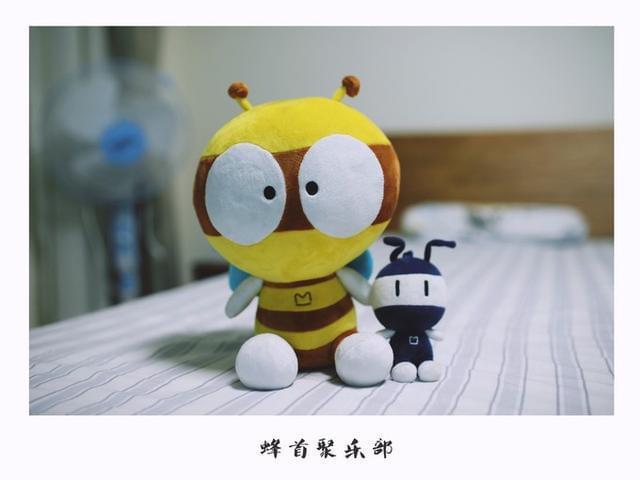 我的小蚁蜂