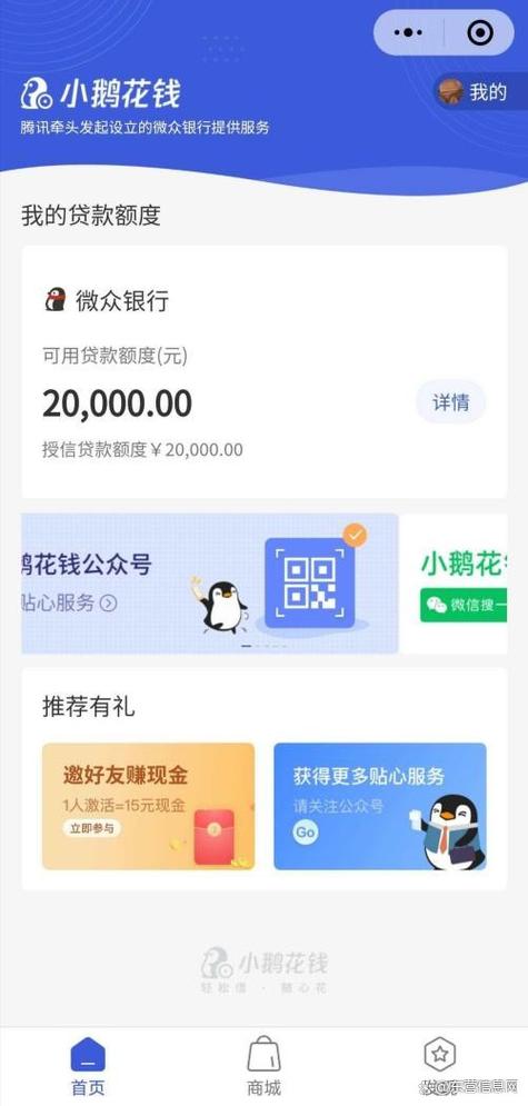 小鹅花钱的申请条件