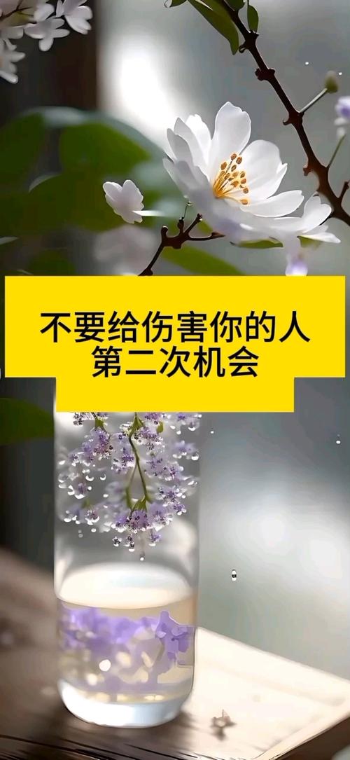 没有第二次机会37