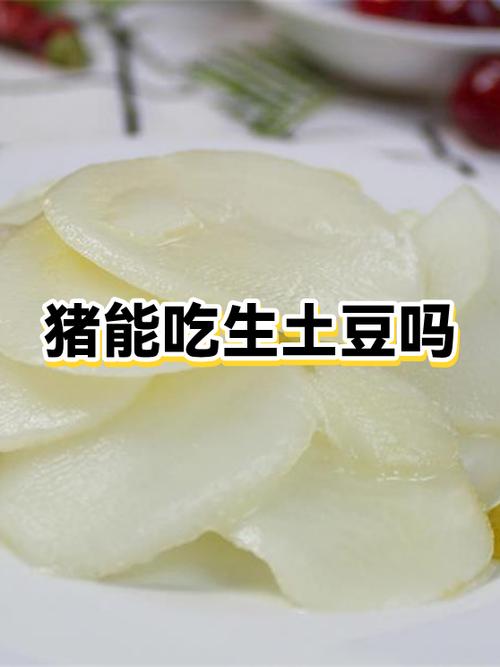 猪可以吃煮熟的土豆吗