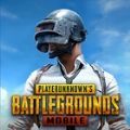 绝地求生2.3国服版下载图标