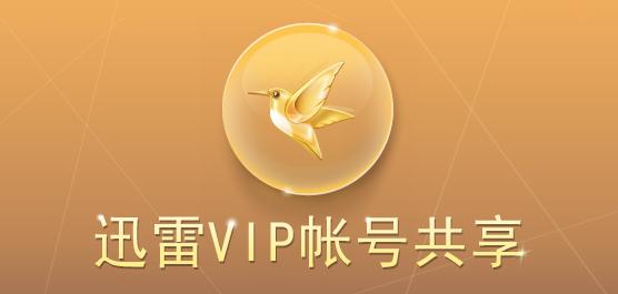 迅雷大全图标
