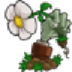 植物大战僵尸1修改器下载安装-植物大战僵尸1修改器