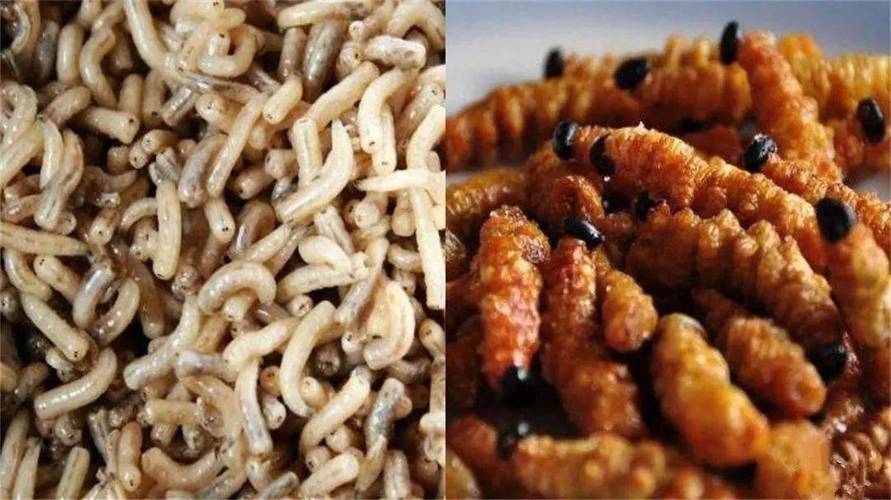 春潮里的变酥变软指的是什么图标