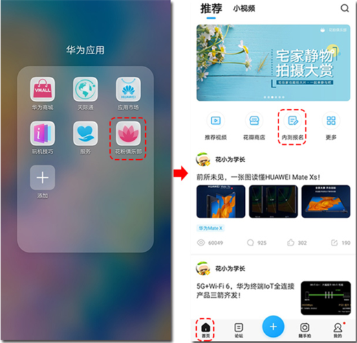 emui11内测申请入口图标
