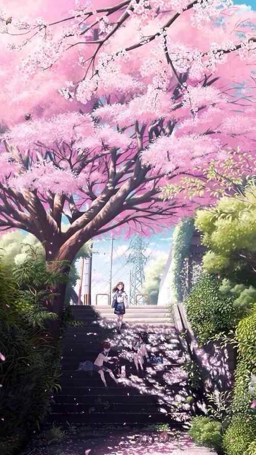 樱花动漫下载免费图标