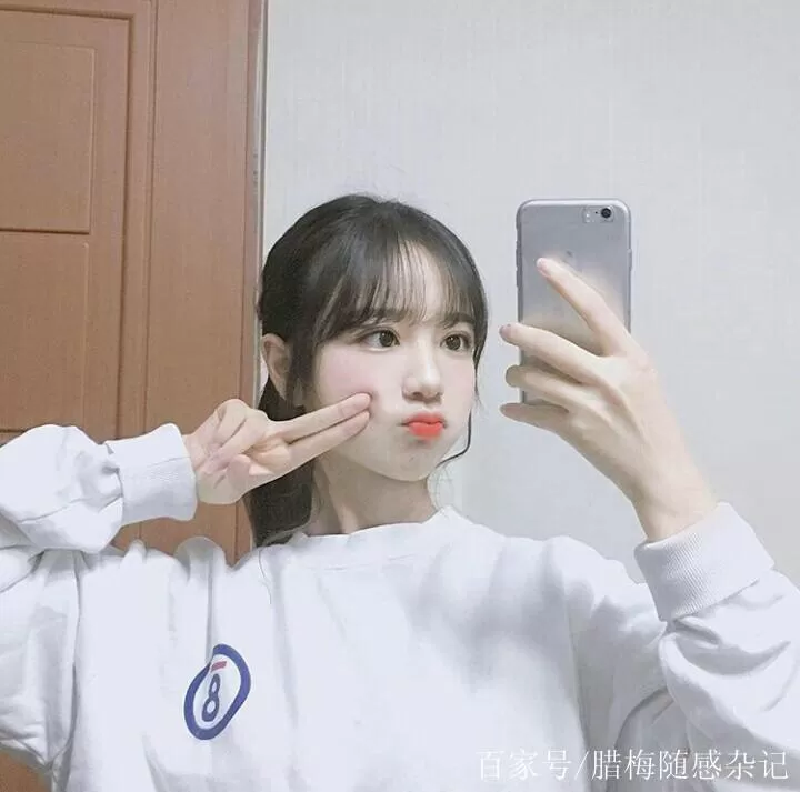 海棠书屋最新版下载