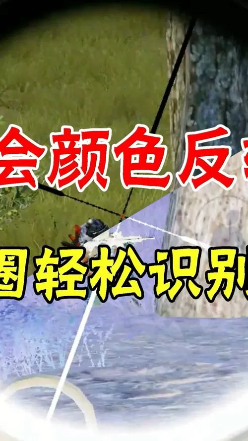 和平精英颜色反转辅助器下载