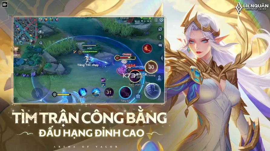 王者越南版正版