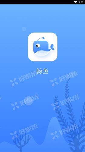 鲸鱼加速器