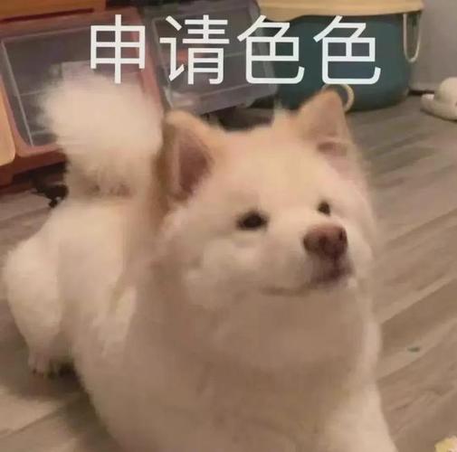 成人用豆豆喂老公的视频大全免费观看图标