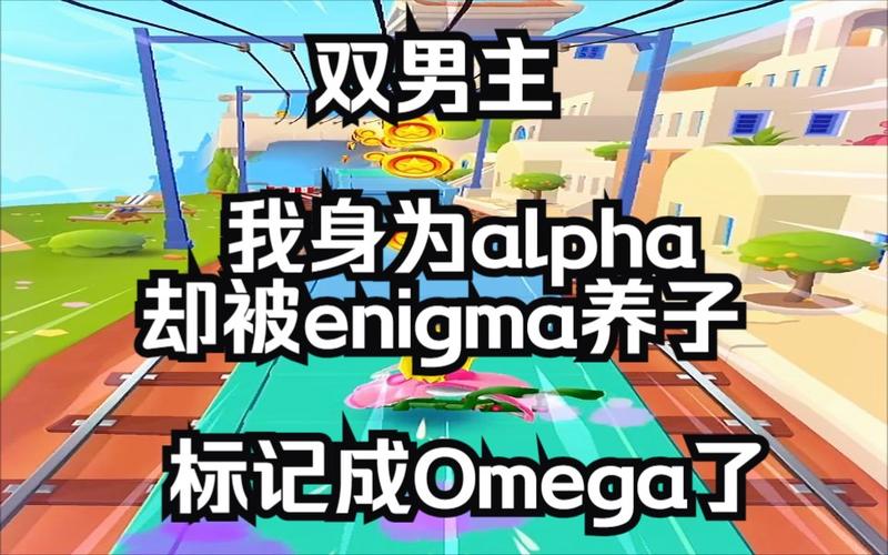 enigmaippa包是正规的吗
