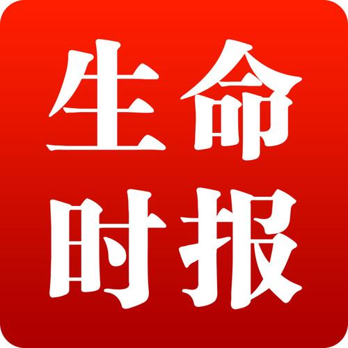 迷失的生命1.52破解版图标