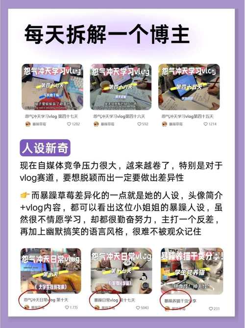 雏鸟vlog圆你一个梦