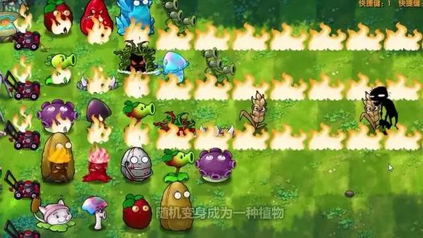 植物大战僵尸猫娘版