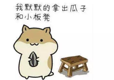 搬好小板凳乖巧表情包图标