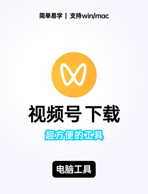 刷视频辅助器