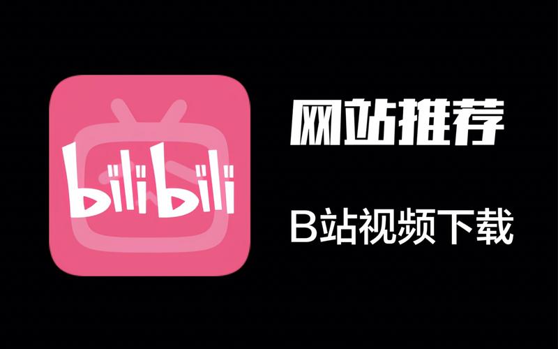 B站大会员吾爱破解