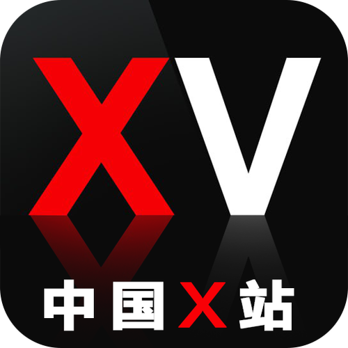 中国x站安装教程图标