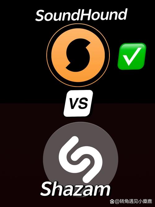 2024shazam识曲官网图标