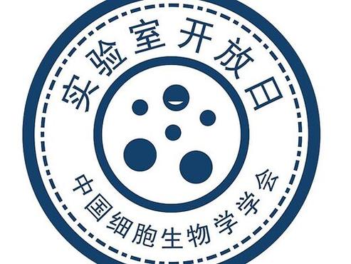 细胞