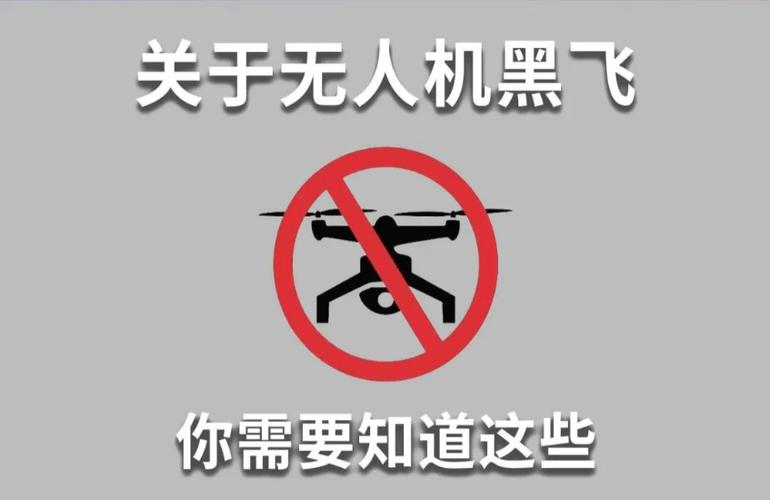 黑飞修改器2025