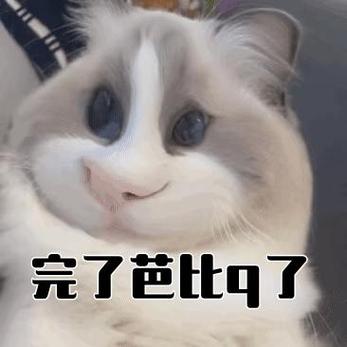 芭比Q什么意思