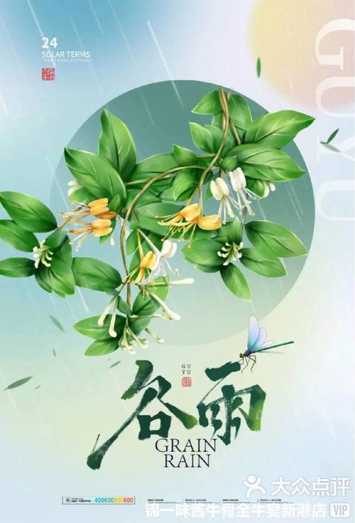 谷雨app官方安装